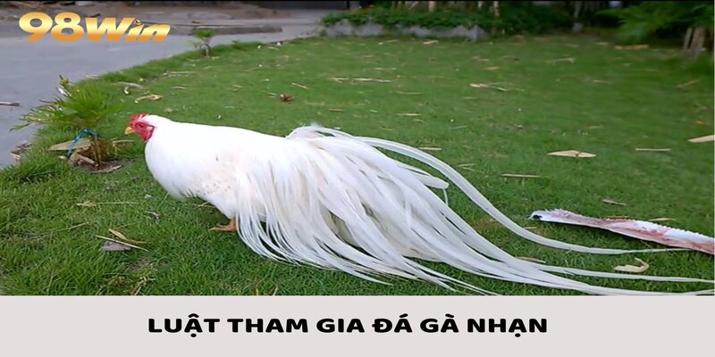 Gà Nhạn - Nét Đặc Trưng Và Khám Phá Luật Tham Gia 4 Luật cơ bản nên biết để tham gia đá gà nhạn hiệu quả