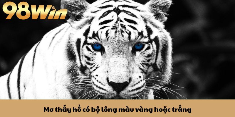 Mơ Thấy Hổ: Ý Nghĩa Và Lựa Chọn Con Số Phù Hợp 3 Mơ thấy hổ có bộ lông màu vàng hoặc trắng